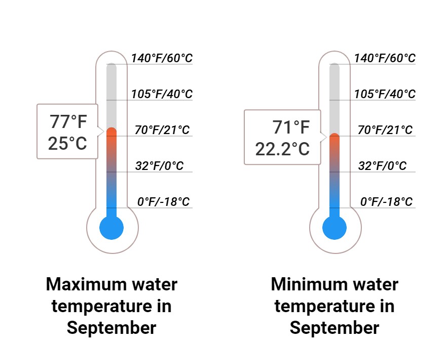 Average Sea temperature